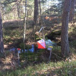 Førstepost Vinter-Jukola 2017-03-29