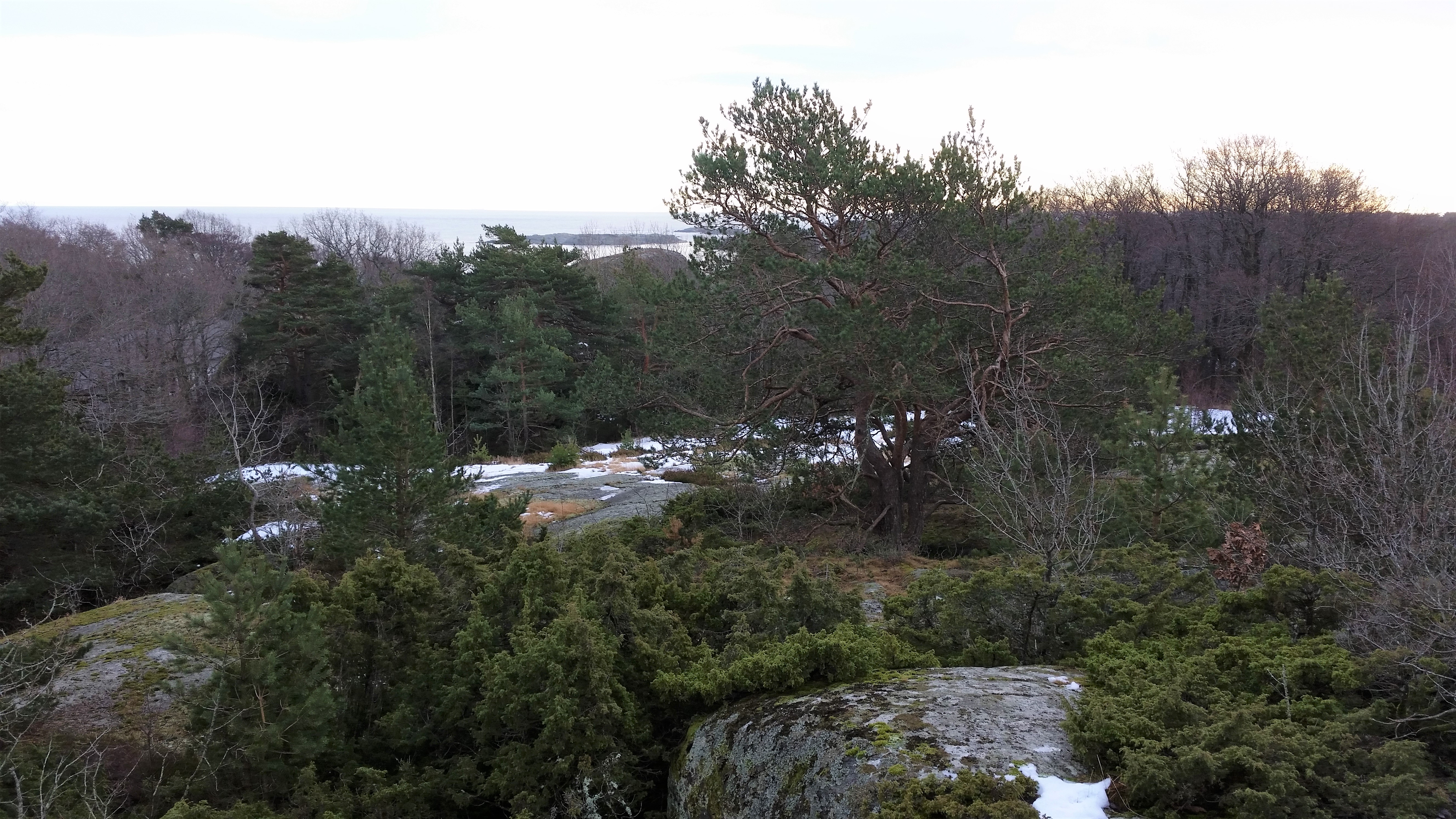 Vinter-Jukola fra Stavernshallen onsdag