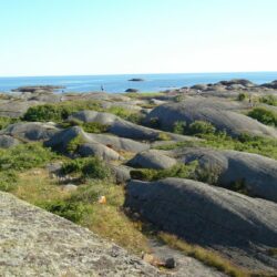 Vestfold 2-dagers er avlyst